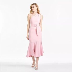 SACHIN + Babi Grace Soft Pastel Pink One Shoulder Belt Ruffle MIDI Dress Size 6
